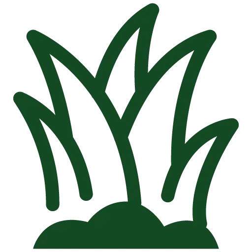 Project Icon