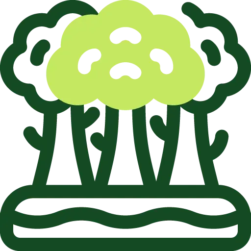 Service Icon