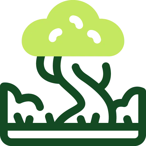 Service Icon